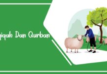 Berbagai Tanya Jawab tentang Aqiqah dan Qurban