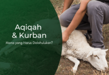 Qurban dan Aqiqah, Mana yang Harus Didahulukan? Qurban dan Aqiqah, Mana yang Harus Didahulukan?